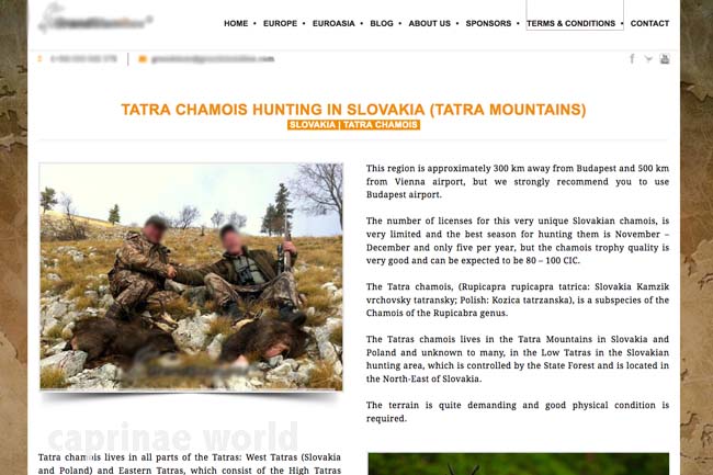 Tatra Chamois Hunting in Slovakia